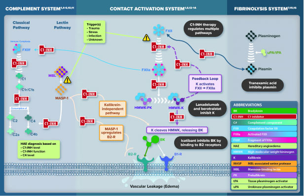 Cascade visualization of HAE